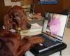 <b>Nume: </b>Fotografie 1, <b>Adaugat de:<b> lauramariahavin<br>Marime: 768x572, 77.5 kb