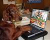 <b>Nume: </b>Fotografie 1, <b>Adaugat de:<b> lauramariahavin<br>Marime: 768x572, 223.7 kb