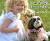 <b>Nume: </b>Photo 1, <b>Adaugat de:<b> lauramariahavin<br>Marime: 411x500, 175.8 kb